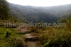 Trail of Premlakha forest trek