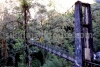 Premlakha rope bridge