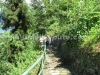 Jungle walk from Aritar