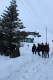 Snow at Gnathang in February